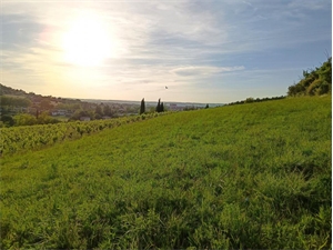 terrain à la vente -   81000  ALBI, surface 4932 m2 vente terrain - UBI473854355